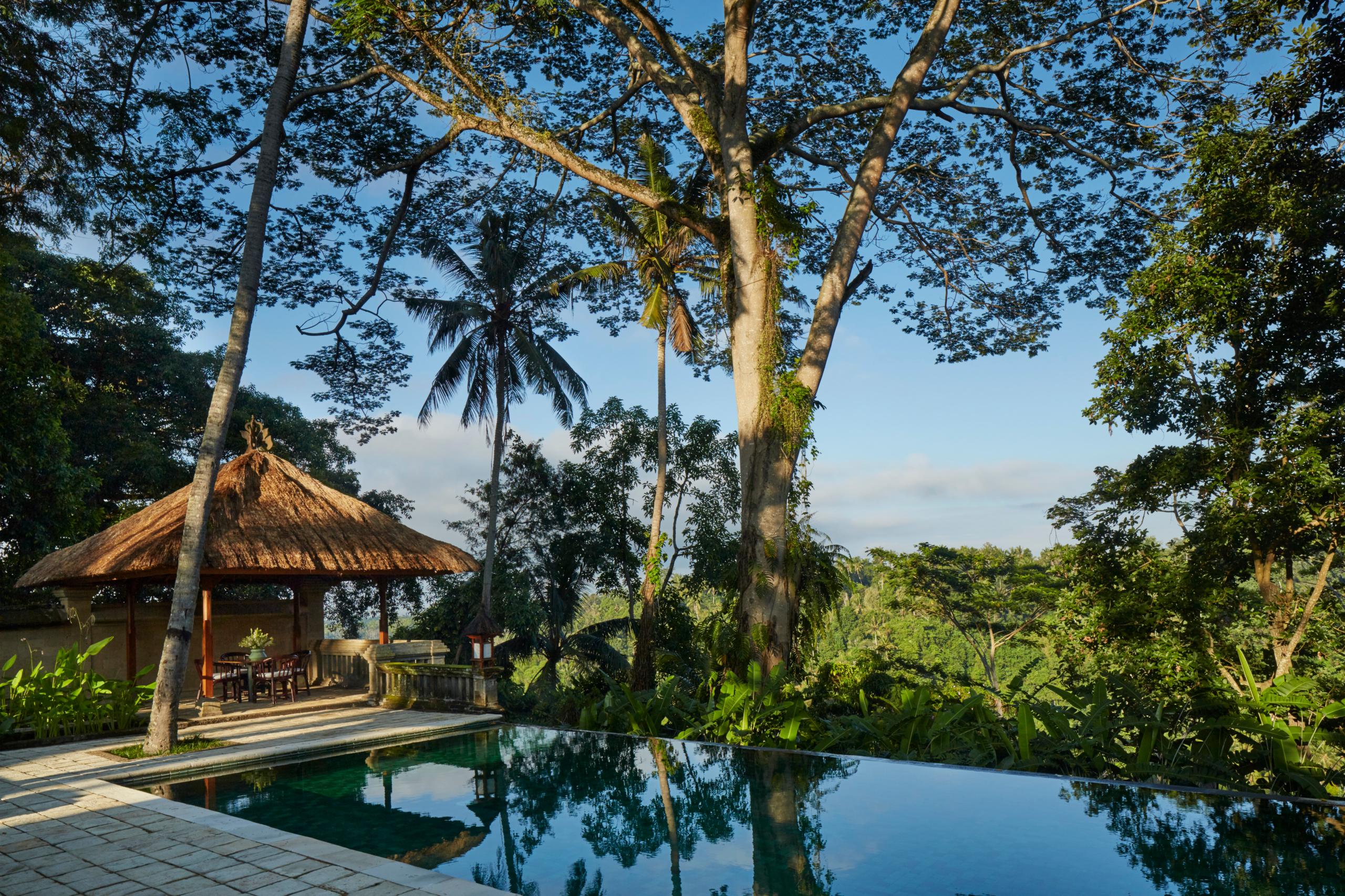Private Pool Suite Courtyard and Plunge Pool