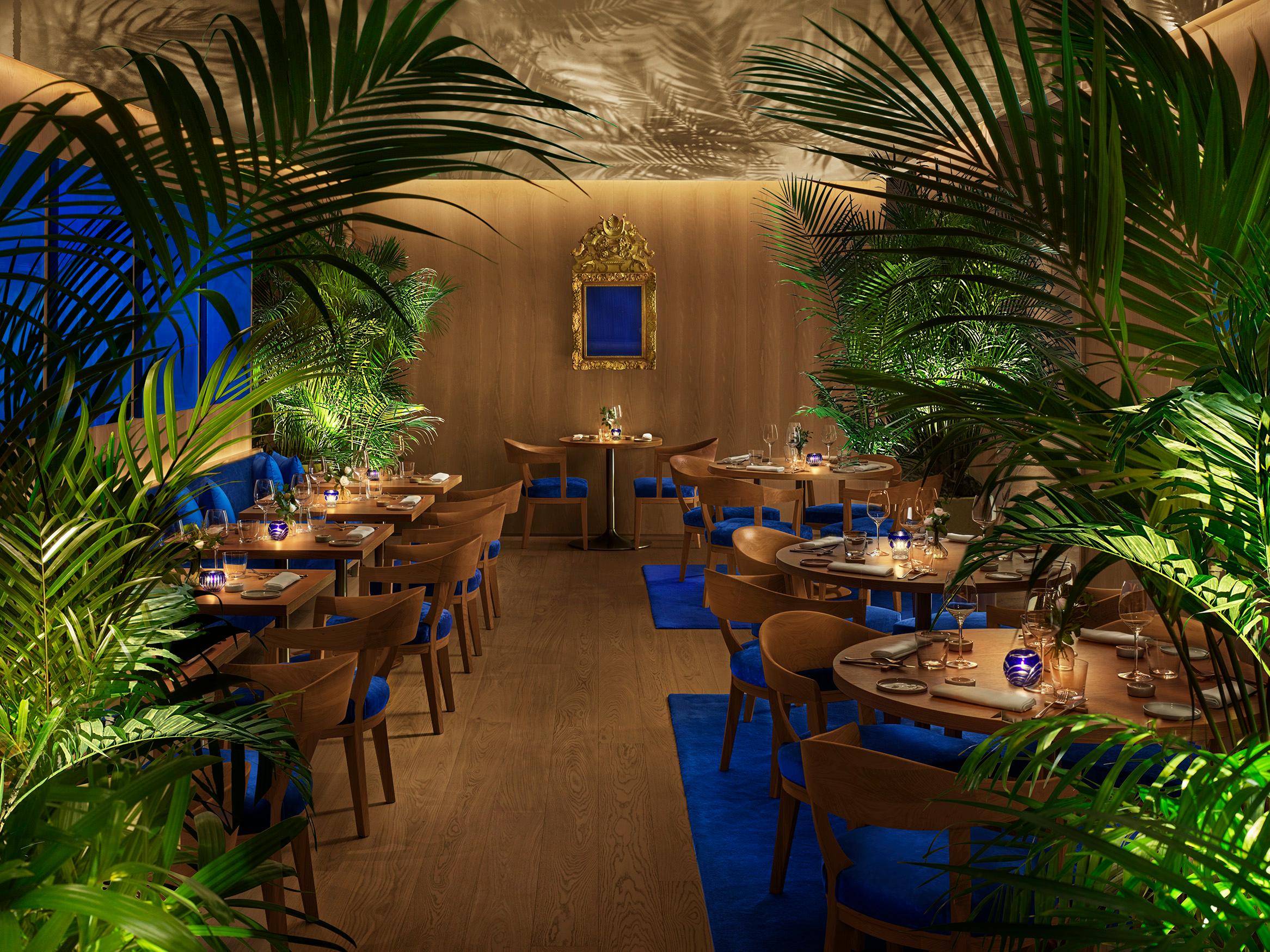 Anima restaurant dining salon by Chef Antonio Gentile