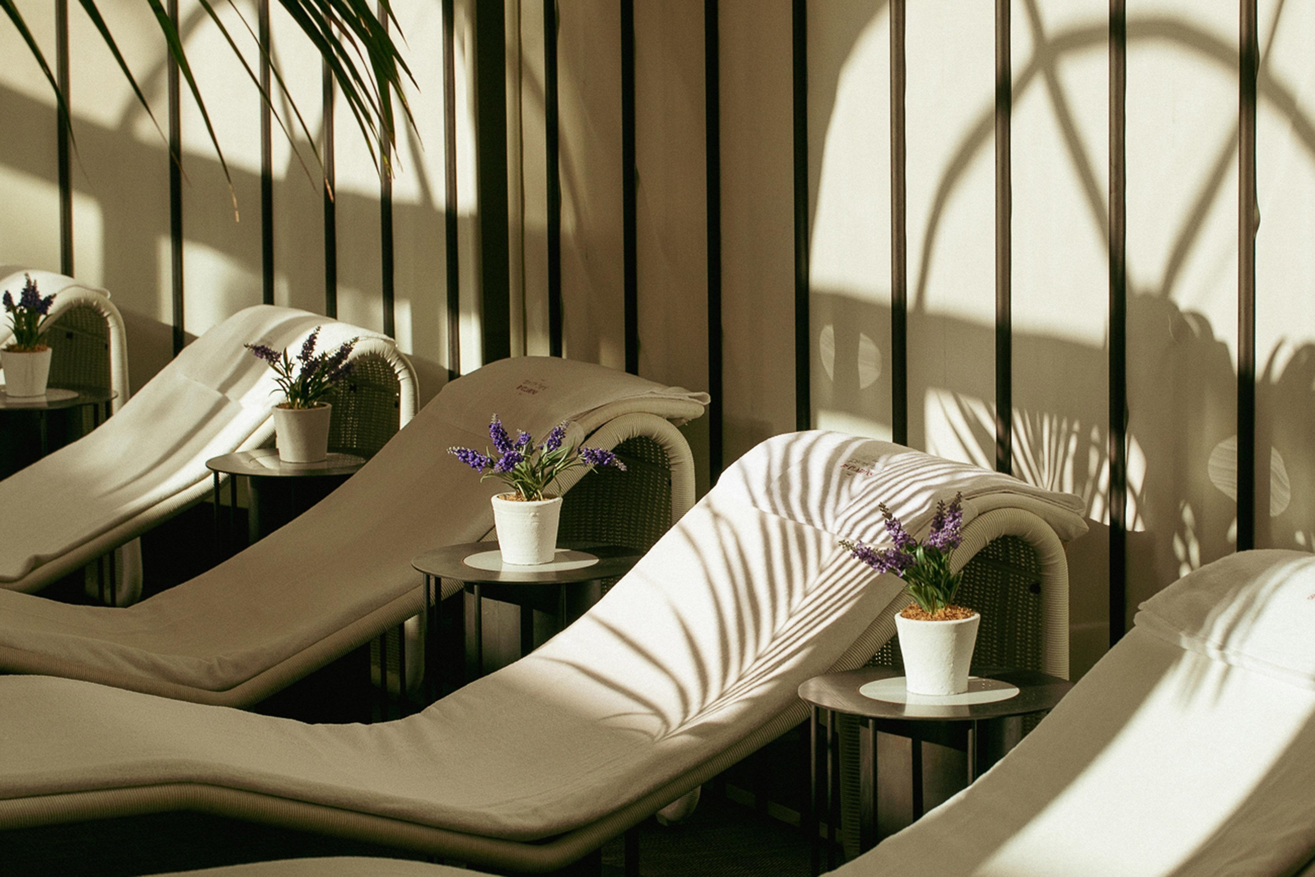 Spa by Clarins Botanical Wellness Sanctuary