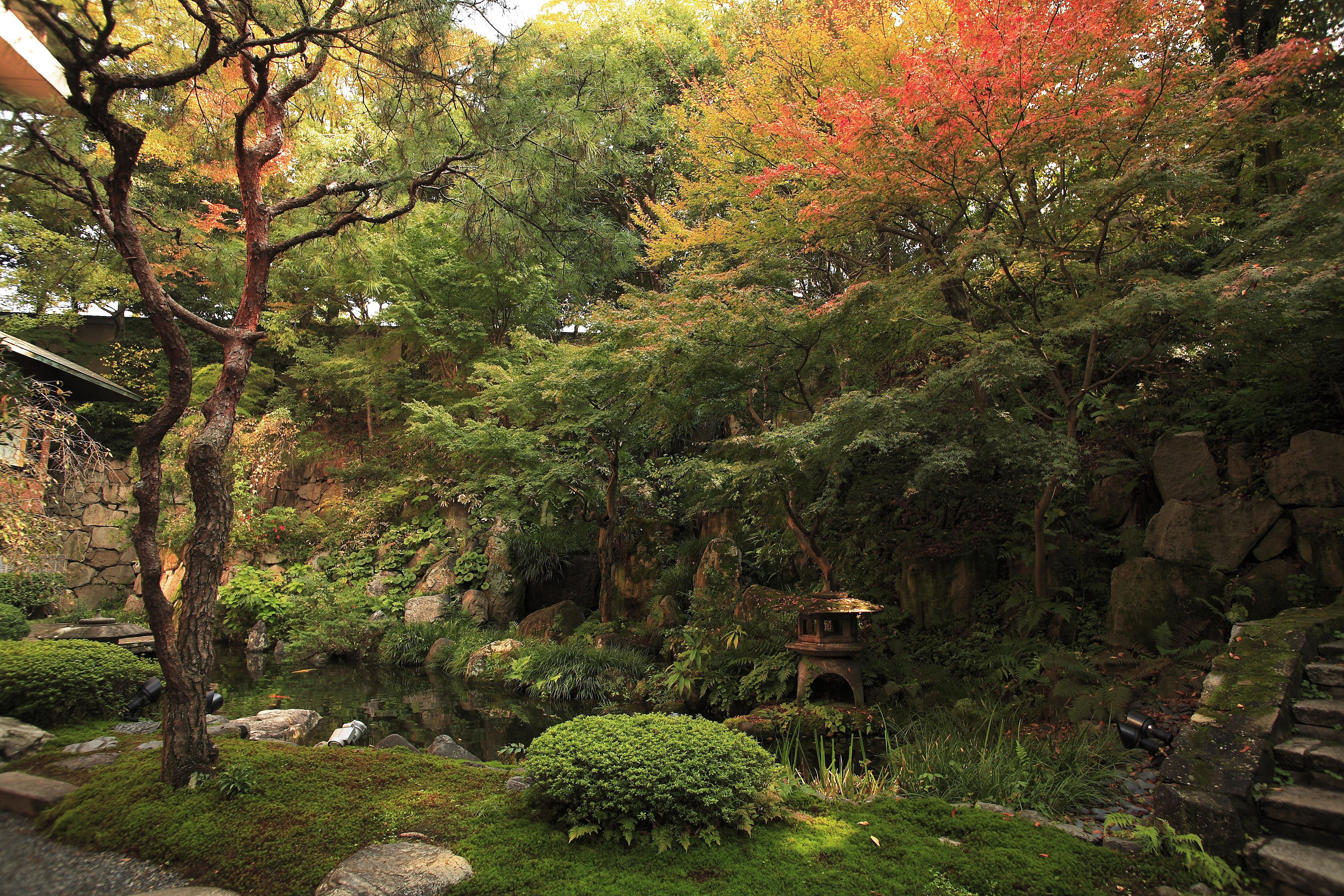 Traditional Japanese Stroll Garden in Autumn