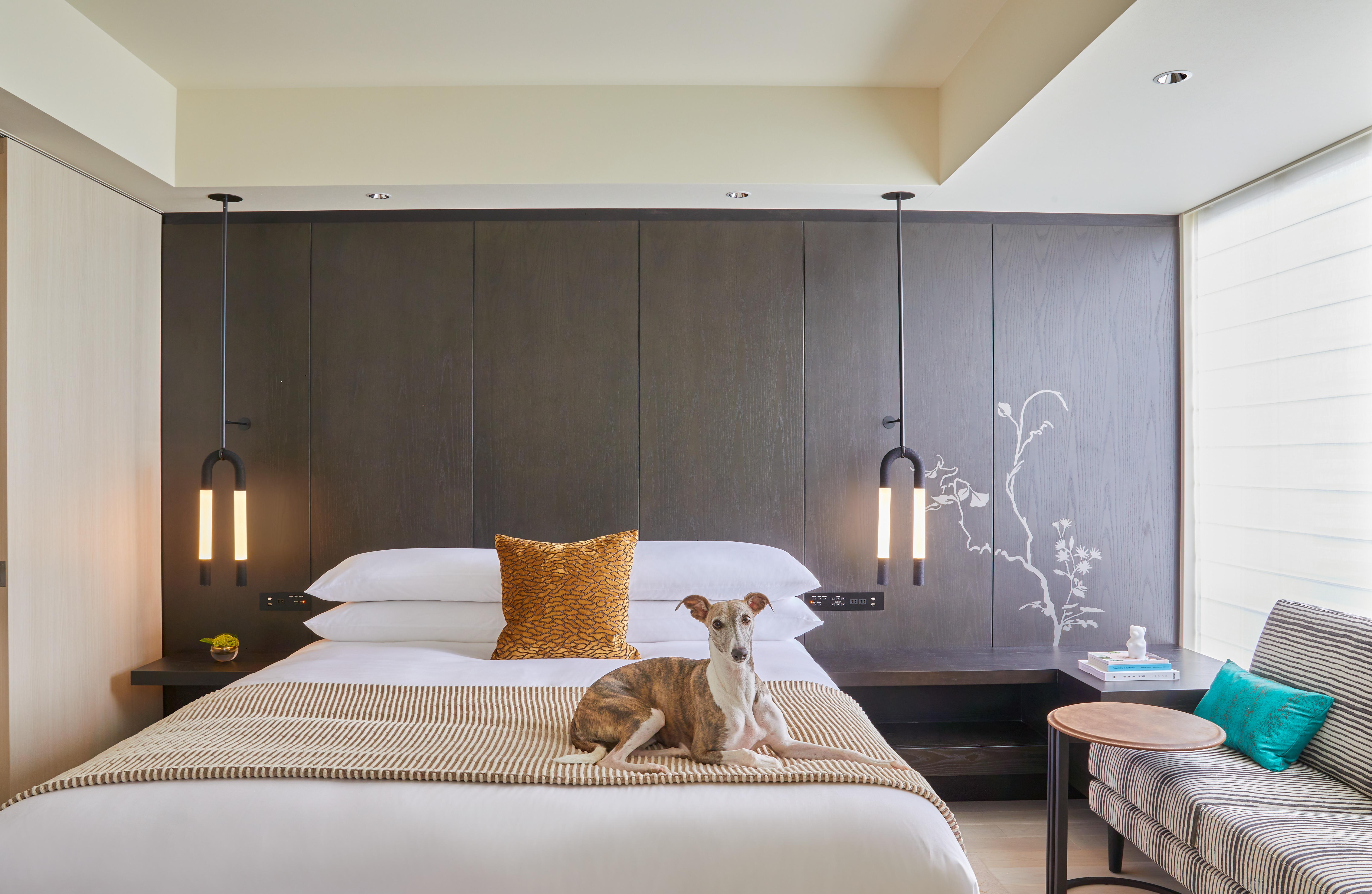 Essential King Room