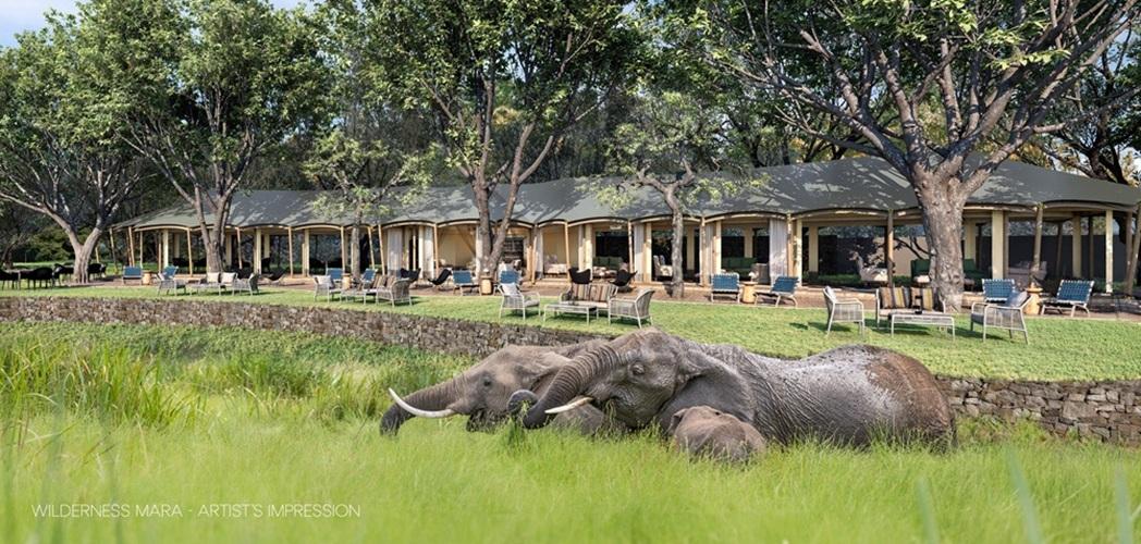 Wilderness Mara