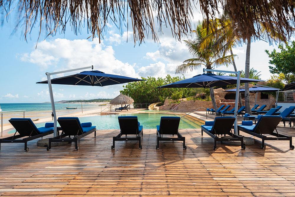 Poolside Sun Loungers and Palms