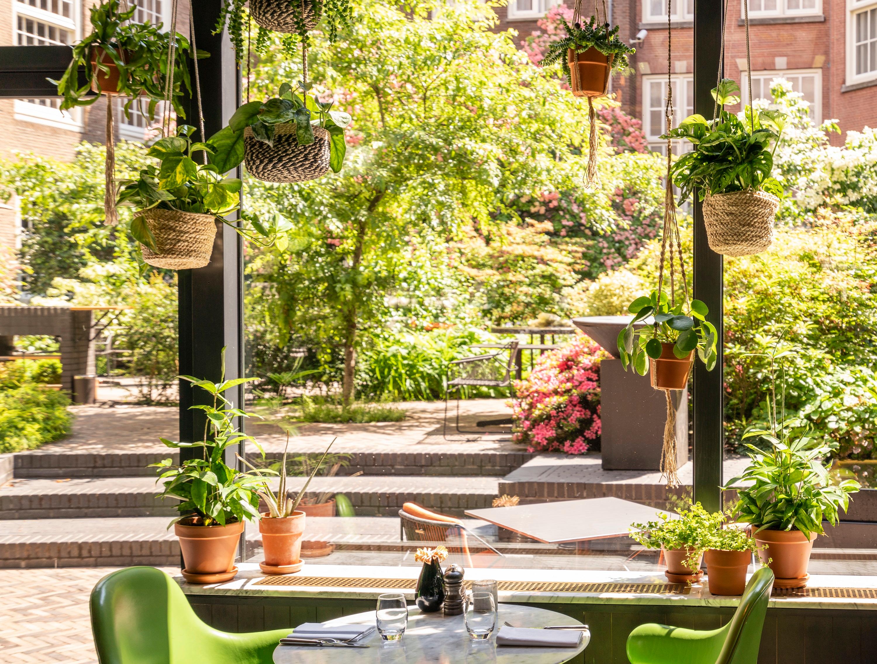 Oriole Garden Bistro featuring vibrant Mediterranean greenery and natural light