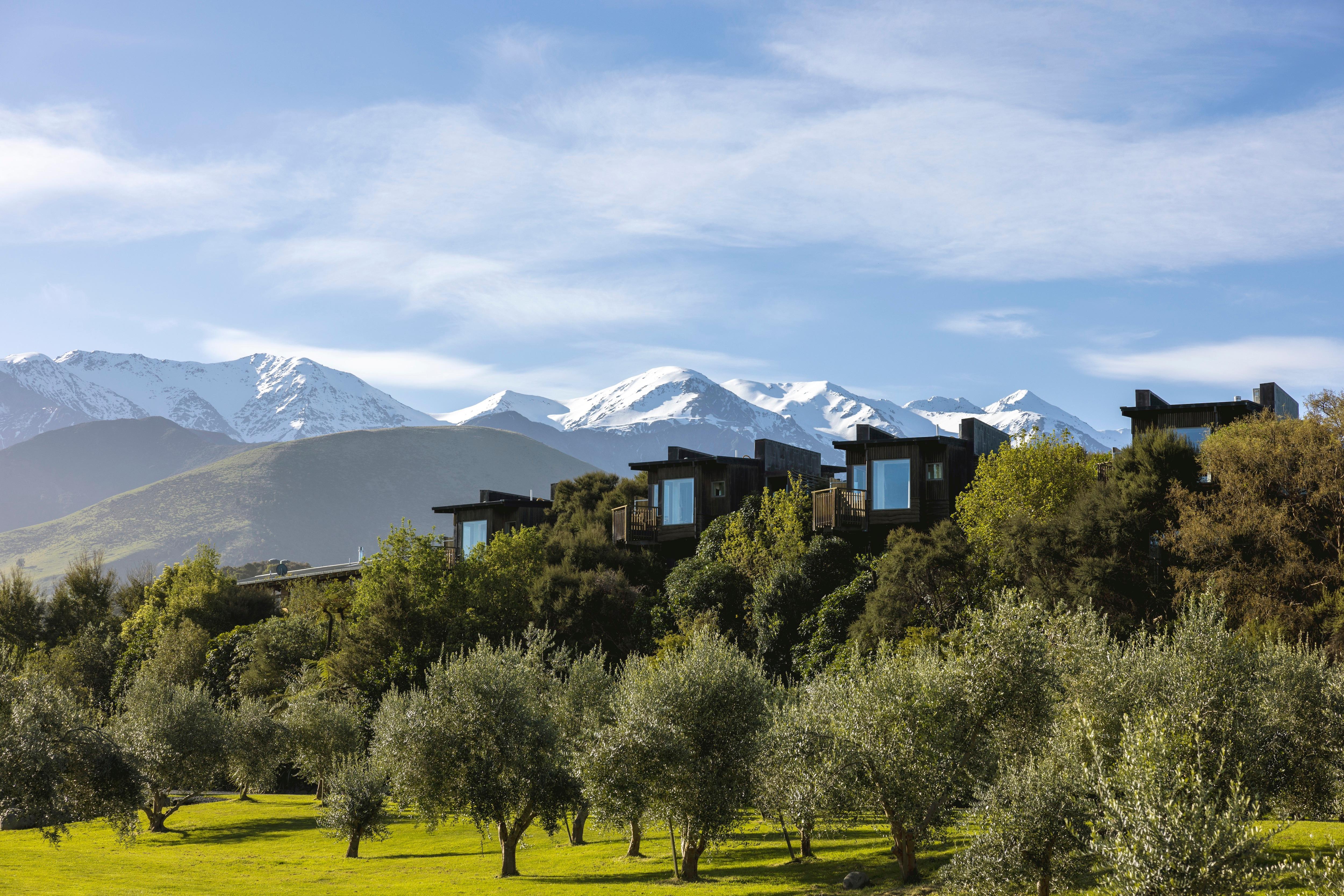 Hapuku Lodge & Tree Houses - Luxury Hotel in Kaikoura, New Zealand