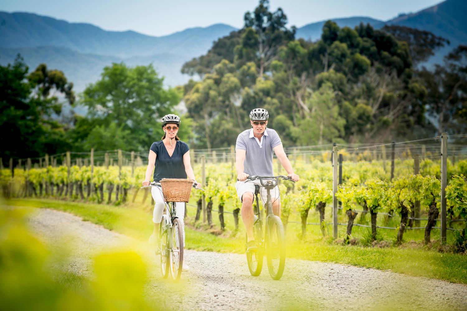 Vineyard Cycling on Estate