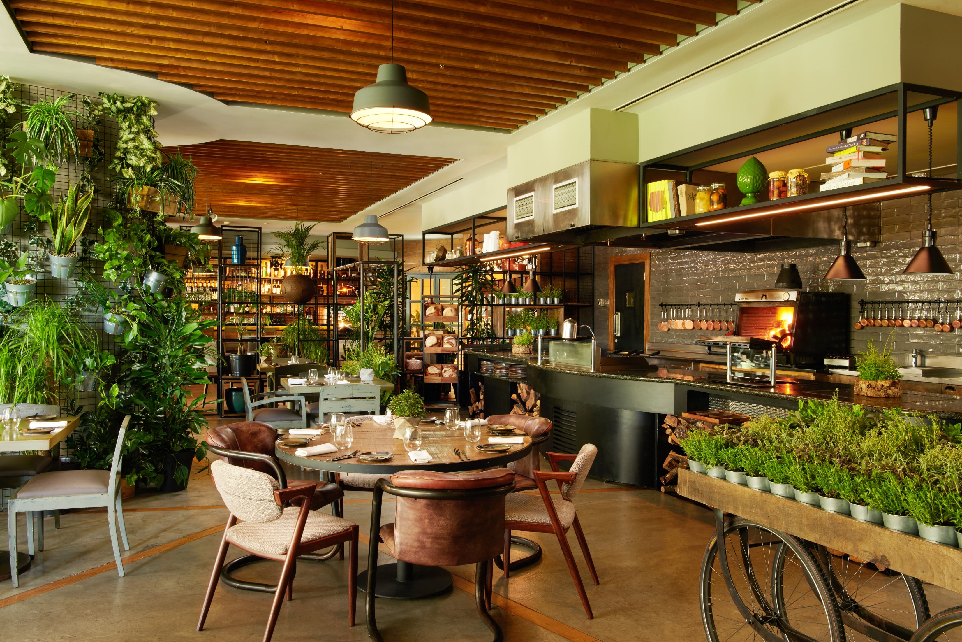 Erva Restaurant Live Cooking Grill and Vertical Living Botanical Wall
