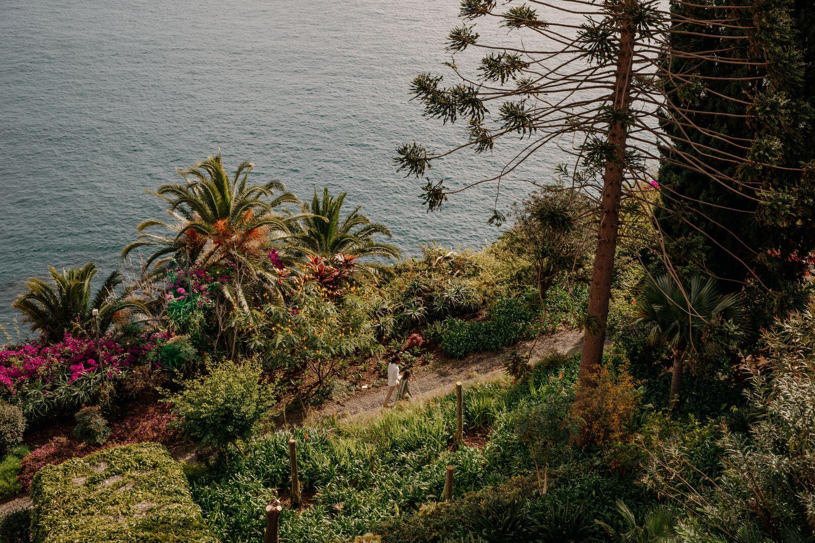 Ten Acres of Historic Subtropical Botanical Gardens with Exotic Flora