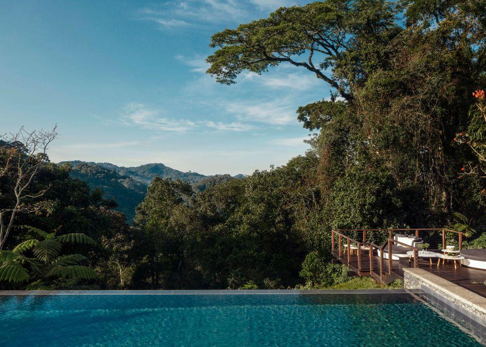 Heated Rainforest Infinity Pool