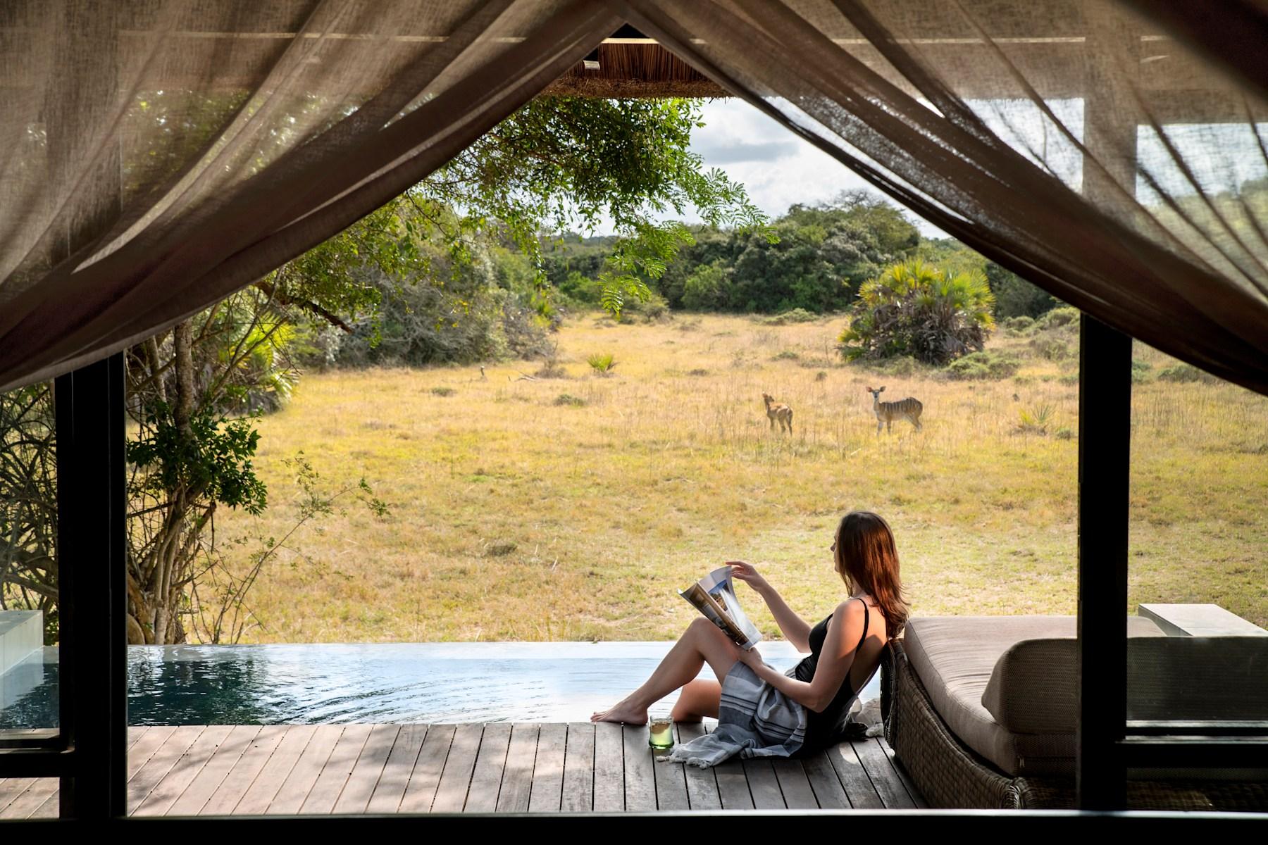 Phinda Vlei Lodge Suite Pool