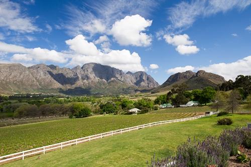Pinotage Suite Valley View