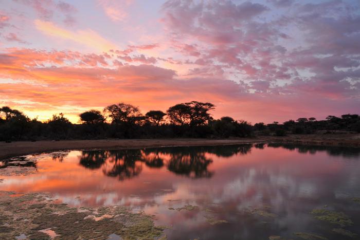 Savanna Private Game Reserve Lounge