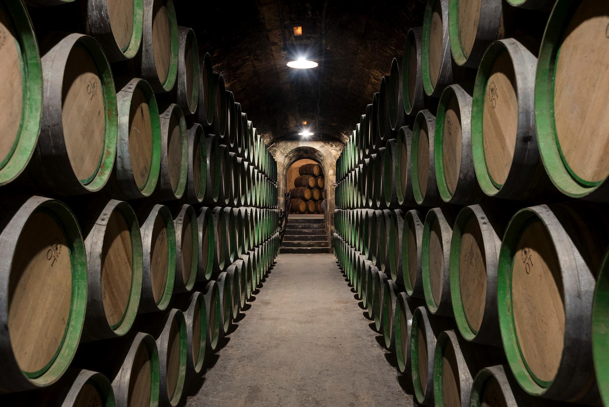Centenary Bodega Oak Barrel Aging Cellar