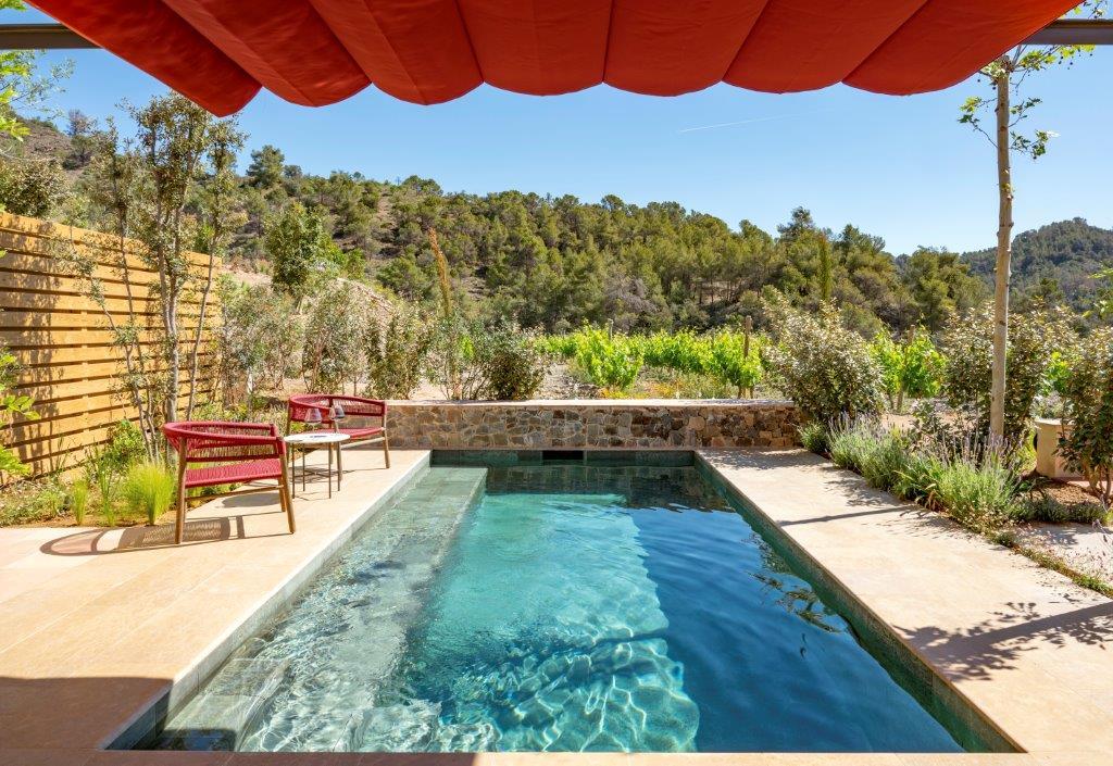 Private Pool Vineyard Suite with heated plunge pool