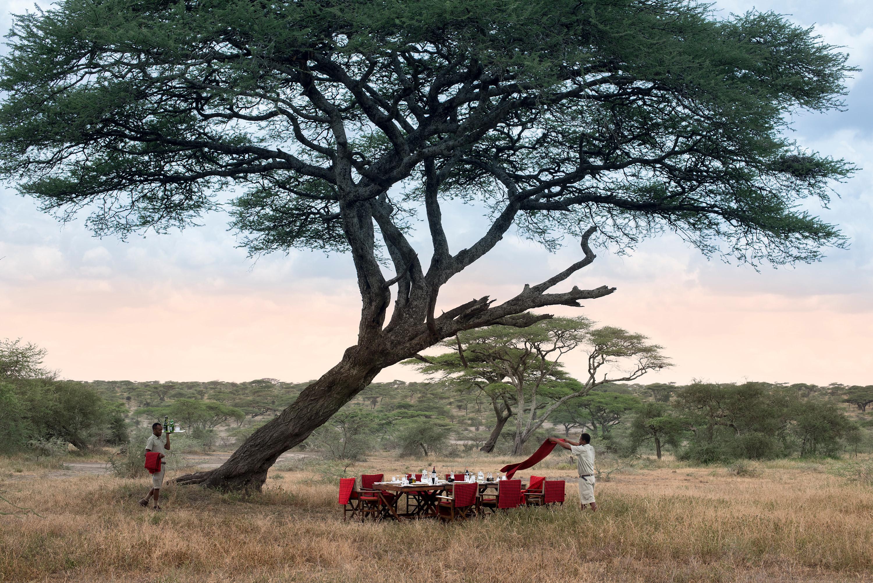 Romantic Candlelit Bush Dinner on the Serengeti Plains