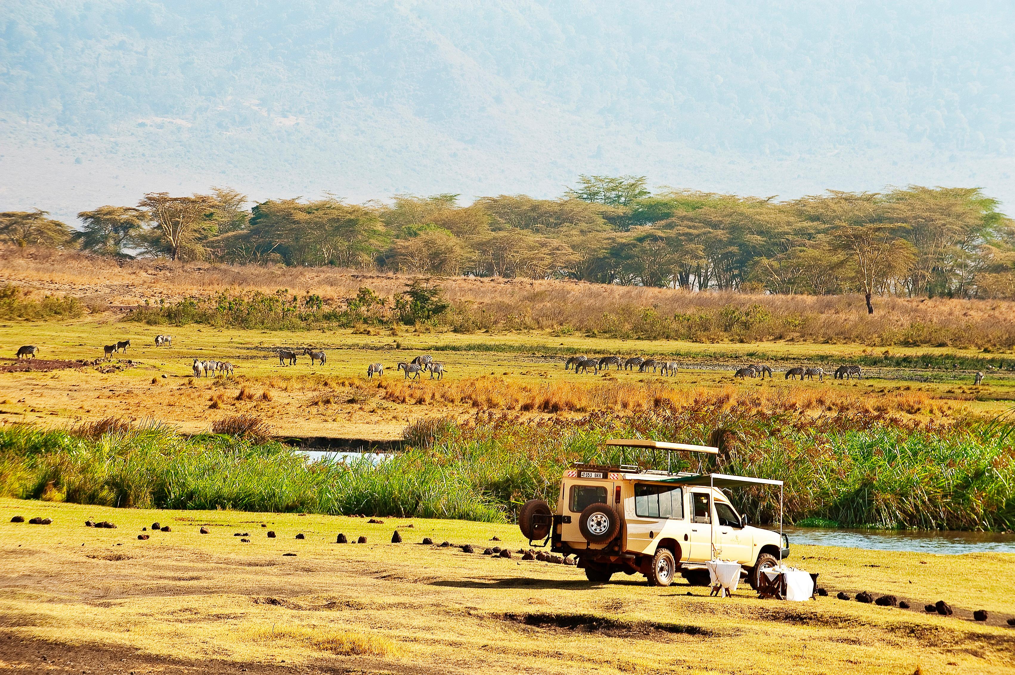 Ngorongoro Crater Floor Luncheon