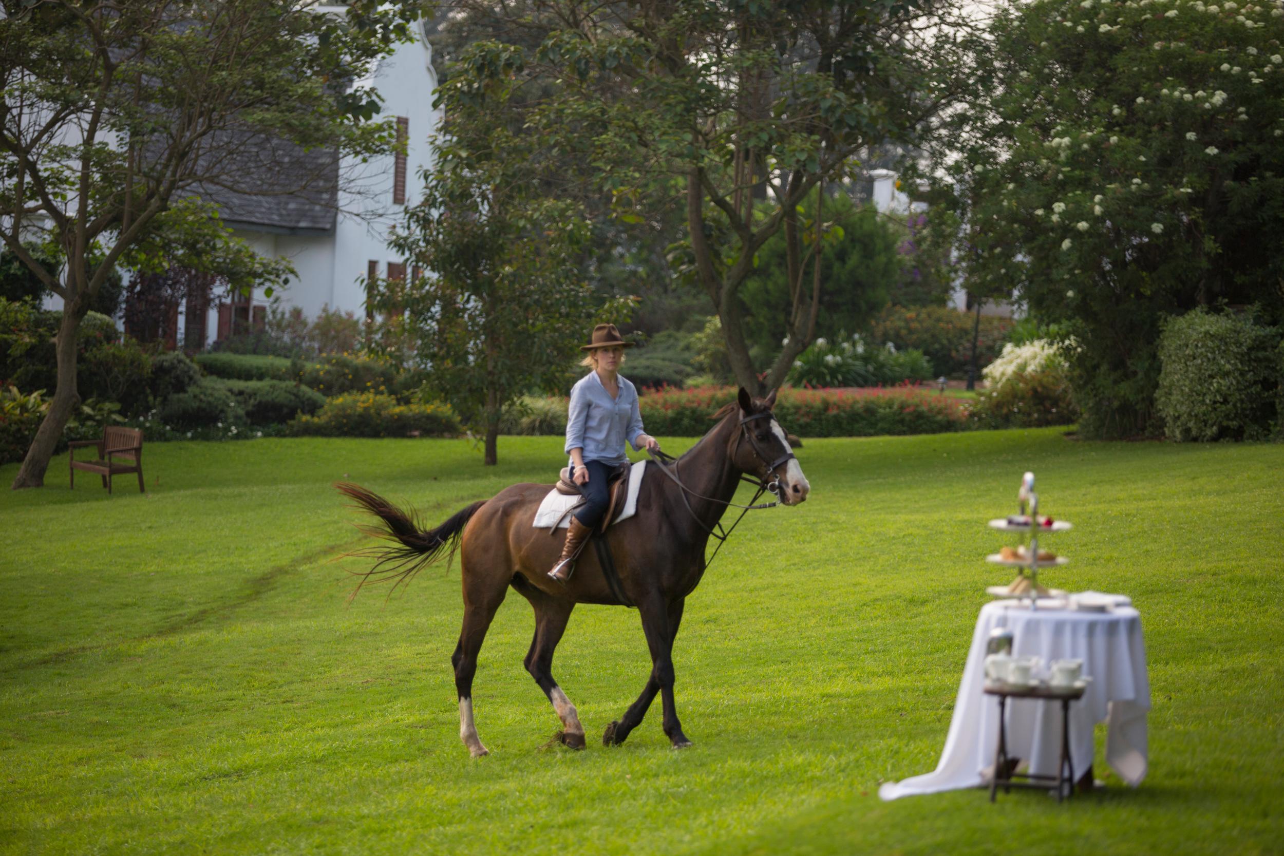 Horseback Riding in Coffee Plantation