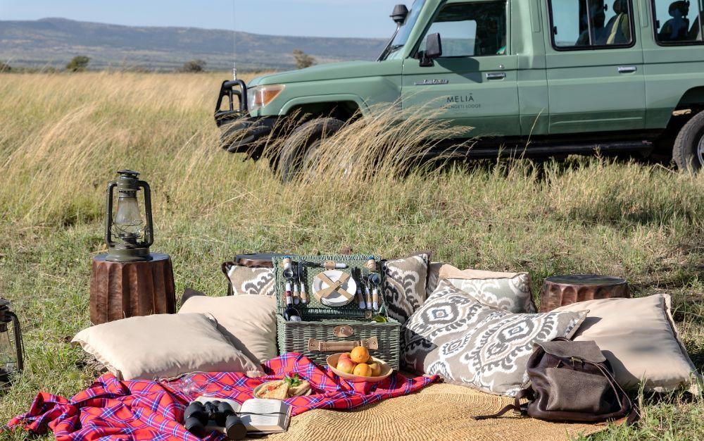 Gourmet Safari Bush Picnic