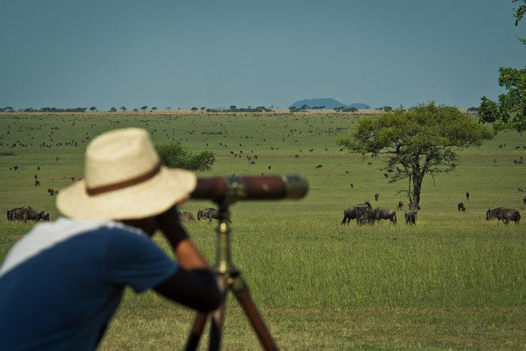 Serengeti Plains Wildlife Grazing at Sabora Camp