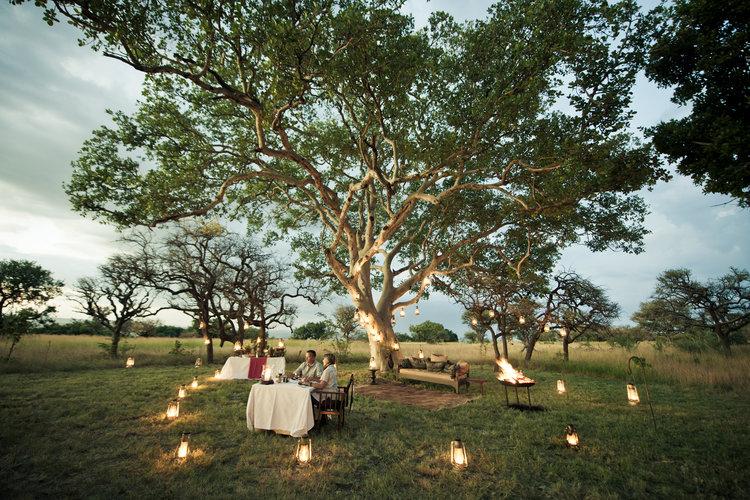 Atmospheric Starlit Courtyard Dinner at Sasakwa
