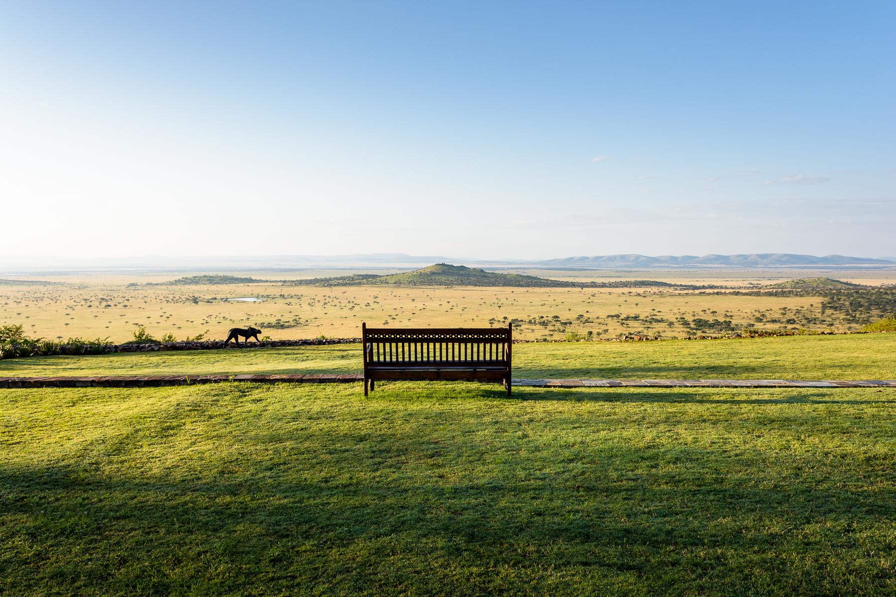 Endless Serengeti Plains View from Sasakwa Hill