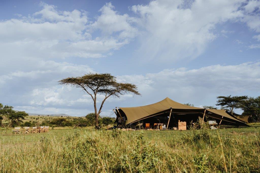 Central Fire Pit and Gathering Lounge Tents