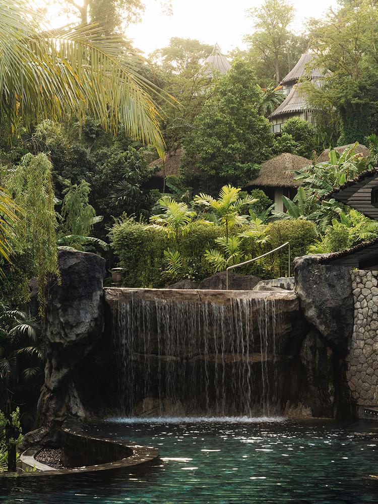 Lush lagoon swimming pool with natural stone waterfalls and tropical forest backdrop