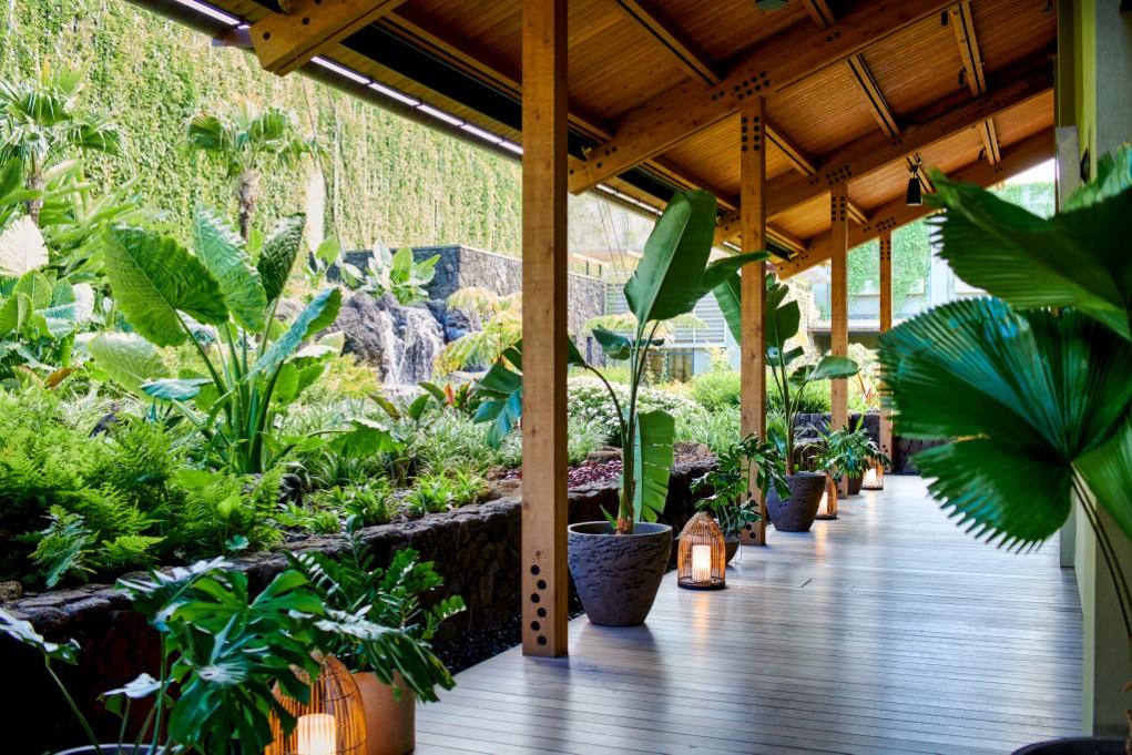 Mountain View Terrace King