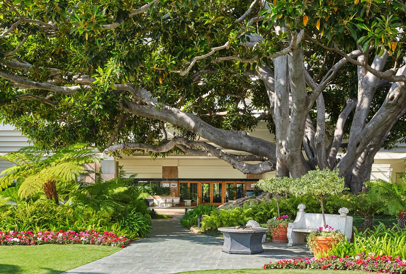 Fairmont Miramar Hotel & Bungalows Resort Grounds