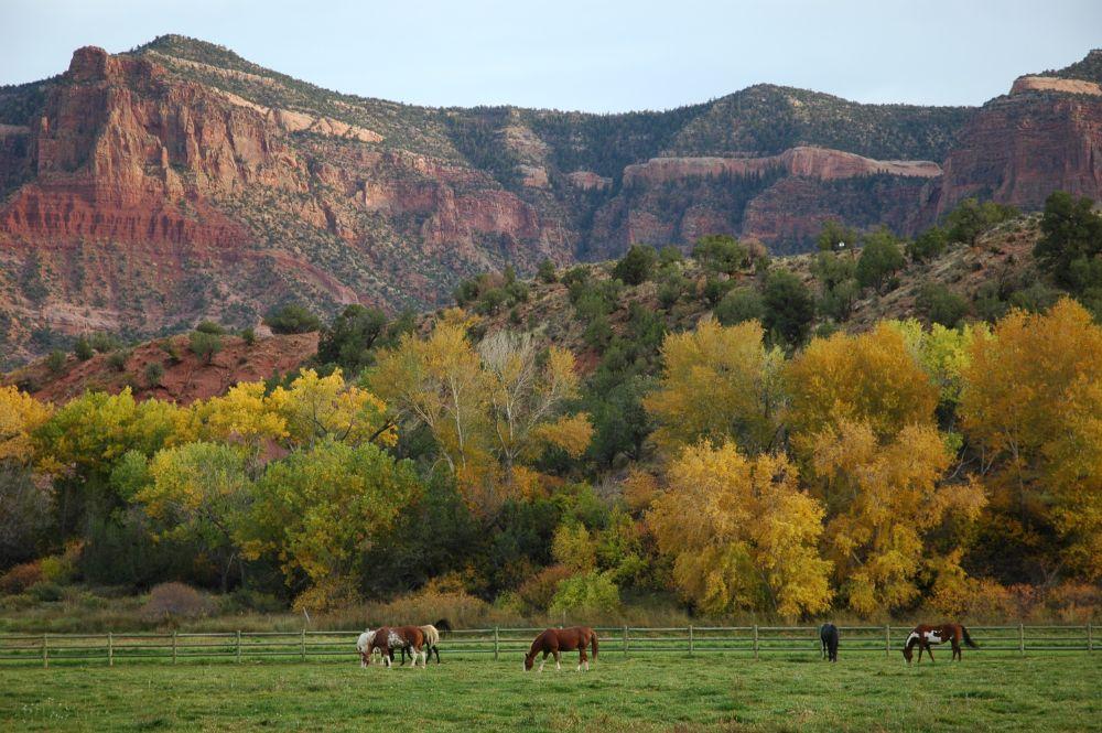 Gateway Canyons Resort & Spa Resort Grounds
