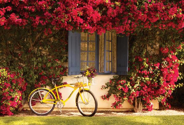 La Quinta Resort & Club Resort Grounds