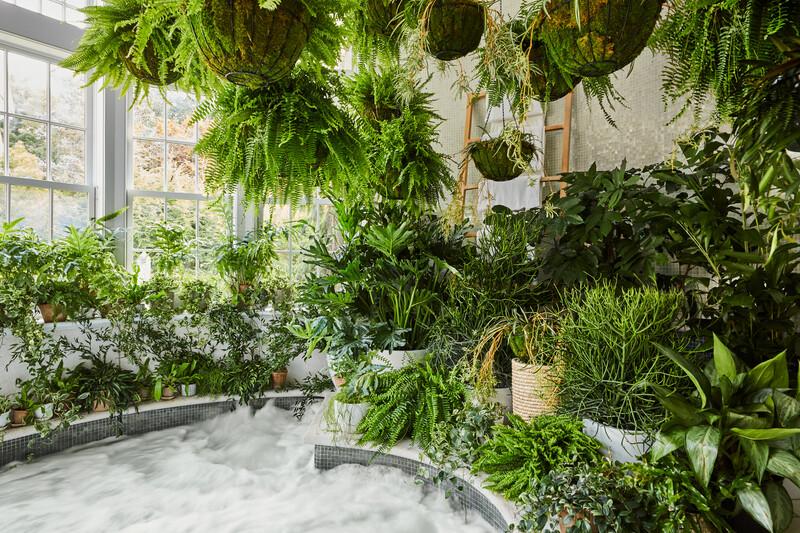 The Garden Room