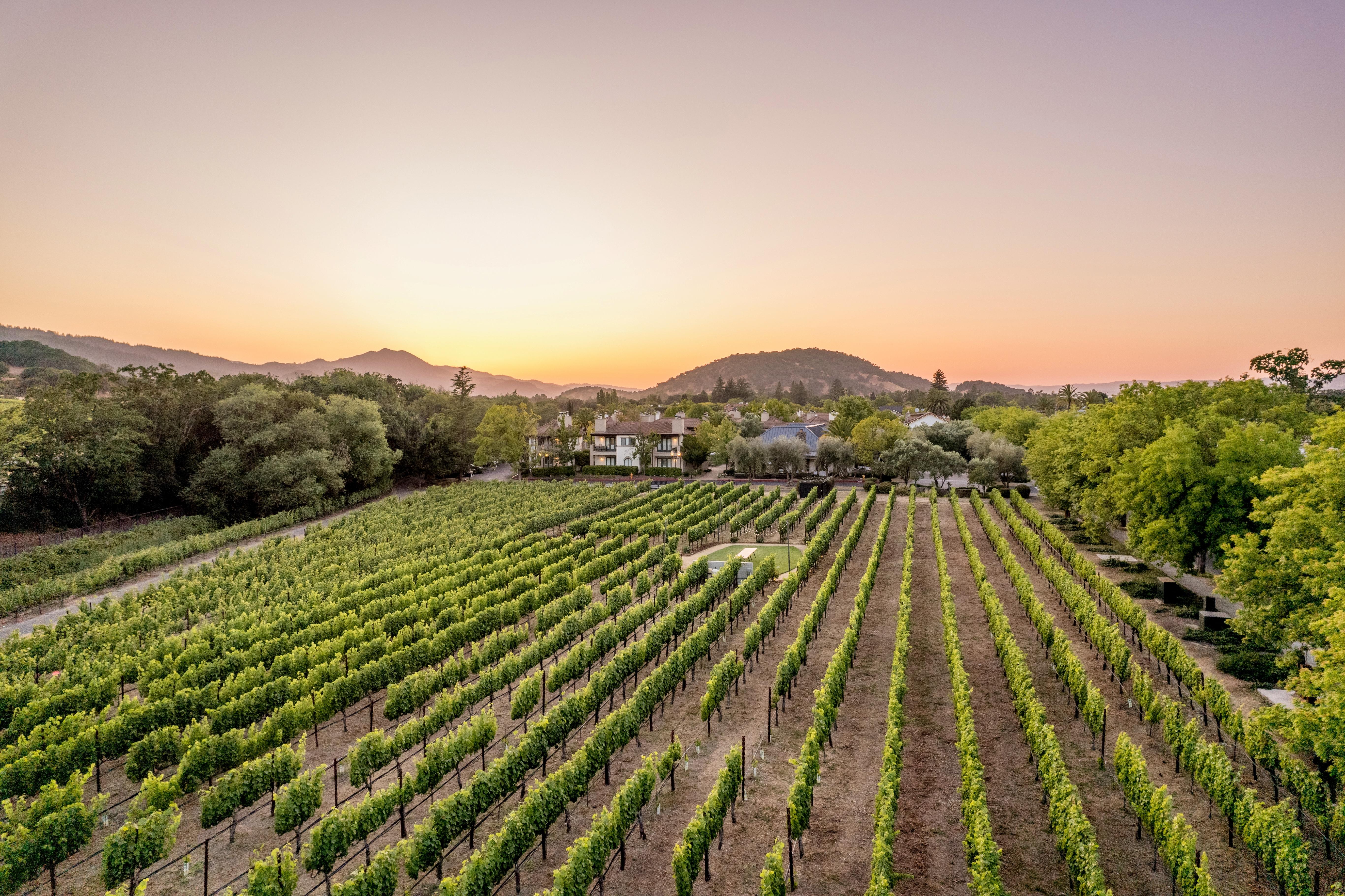 The Estate Yountville Resort Grounds