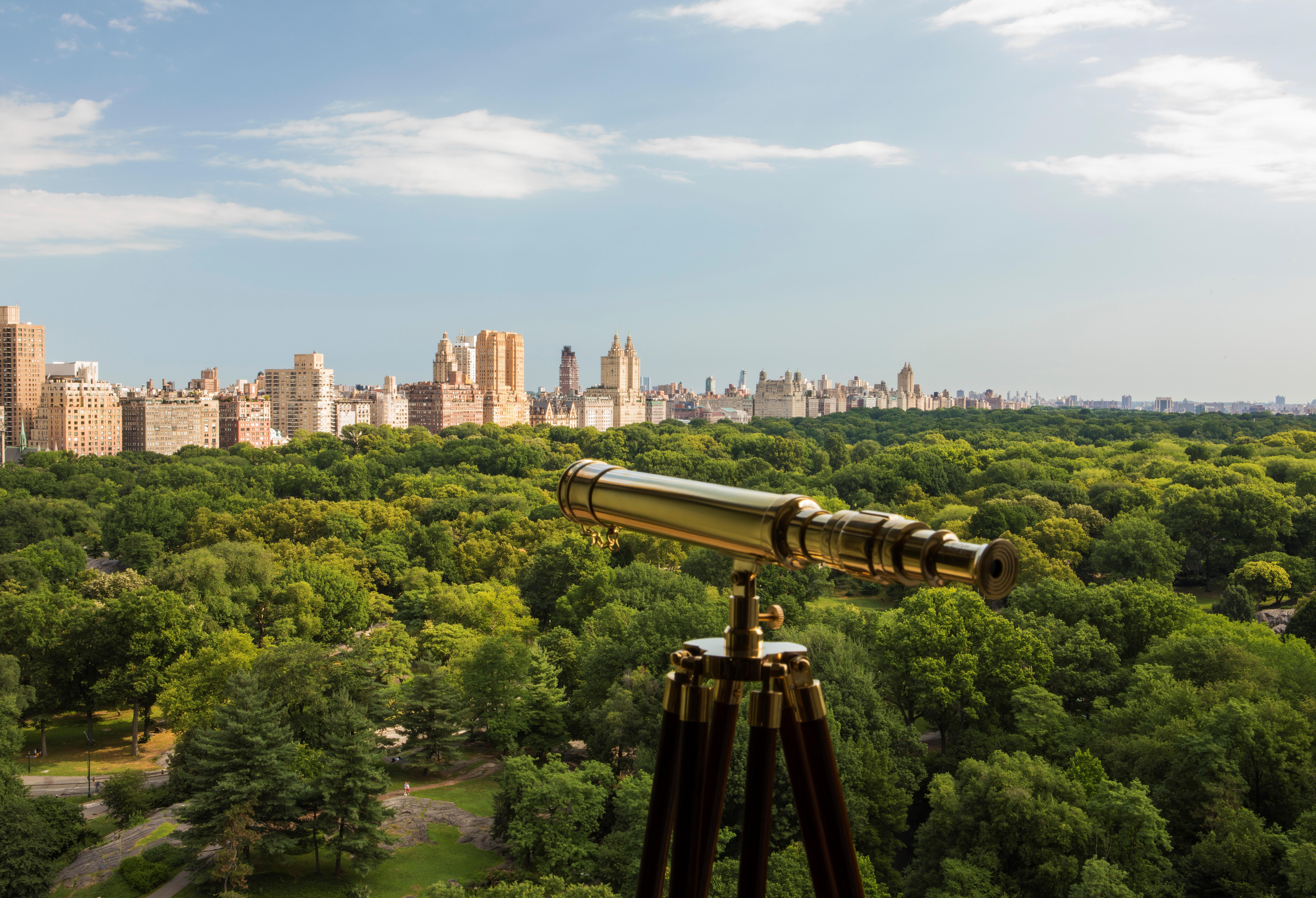 The Ritz-Carlton New York, Central Park Resort Grounds