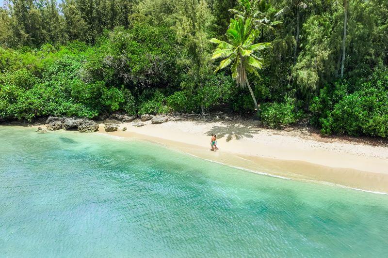 The Ritz Carlton Oahu, Turtle Bay Suite