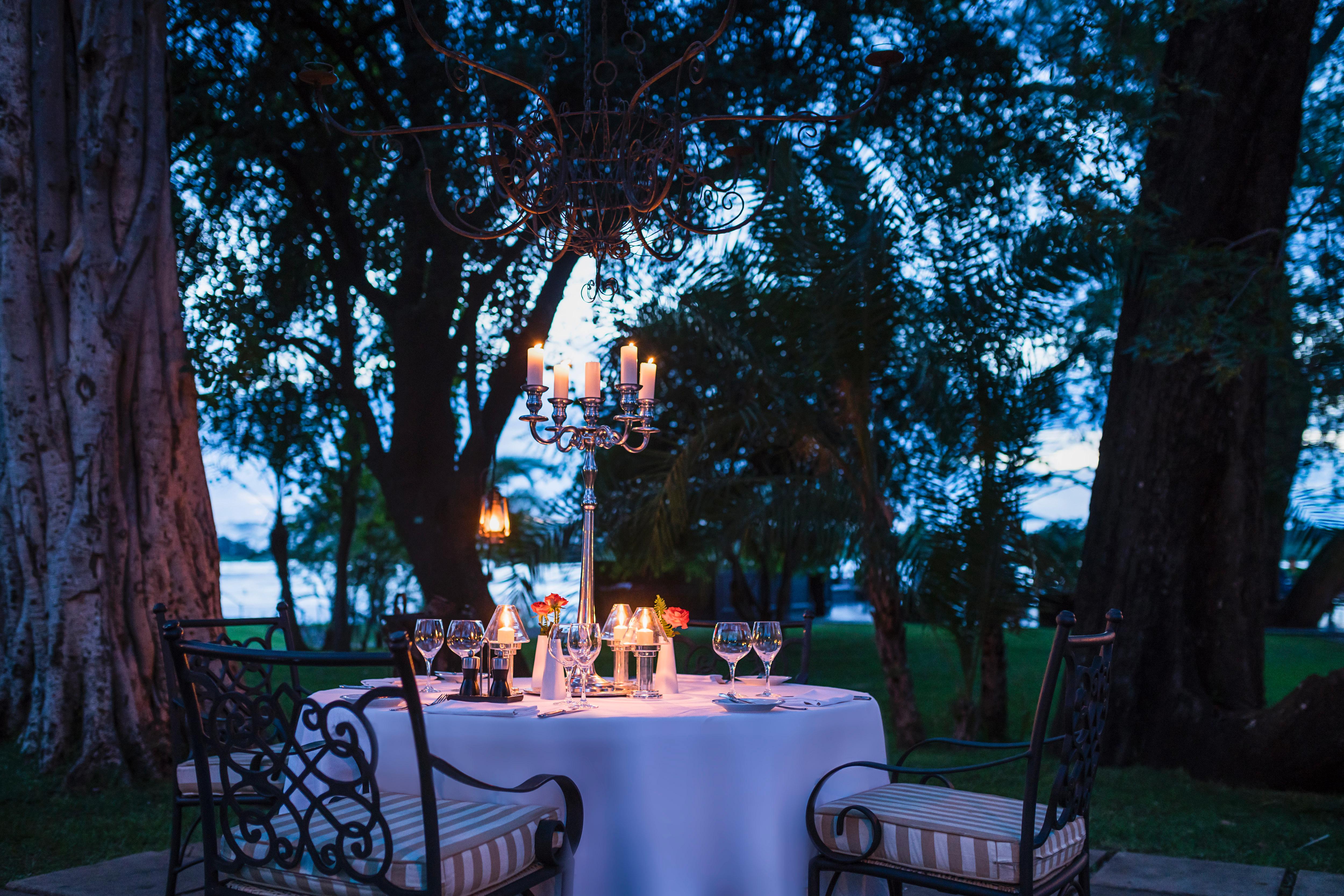 Monkey Tree Starlit Dining