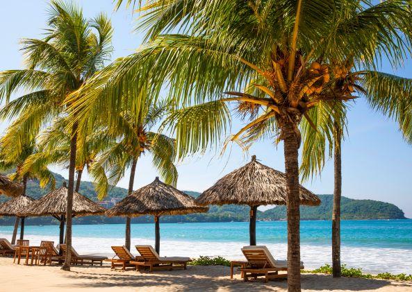 Playa La Ropa Beach Loungers Under Coconut Palms