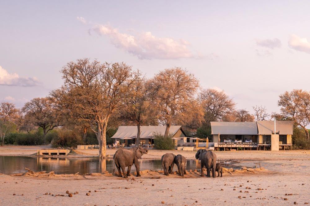 Wilderness Linkwasha