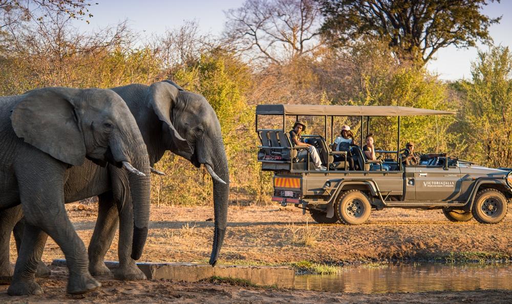Big Five Game Drive