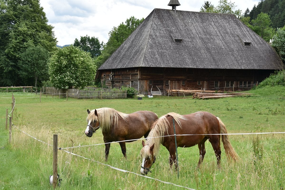 Handcrafted German cuckoo clocks in the Black Forest