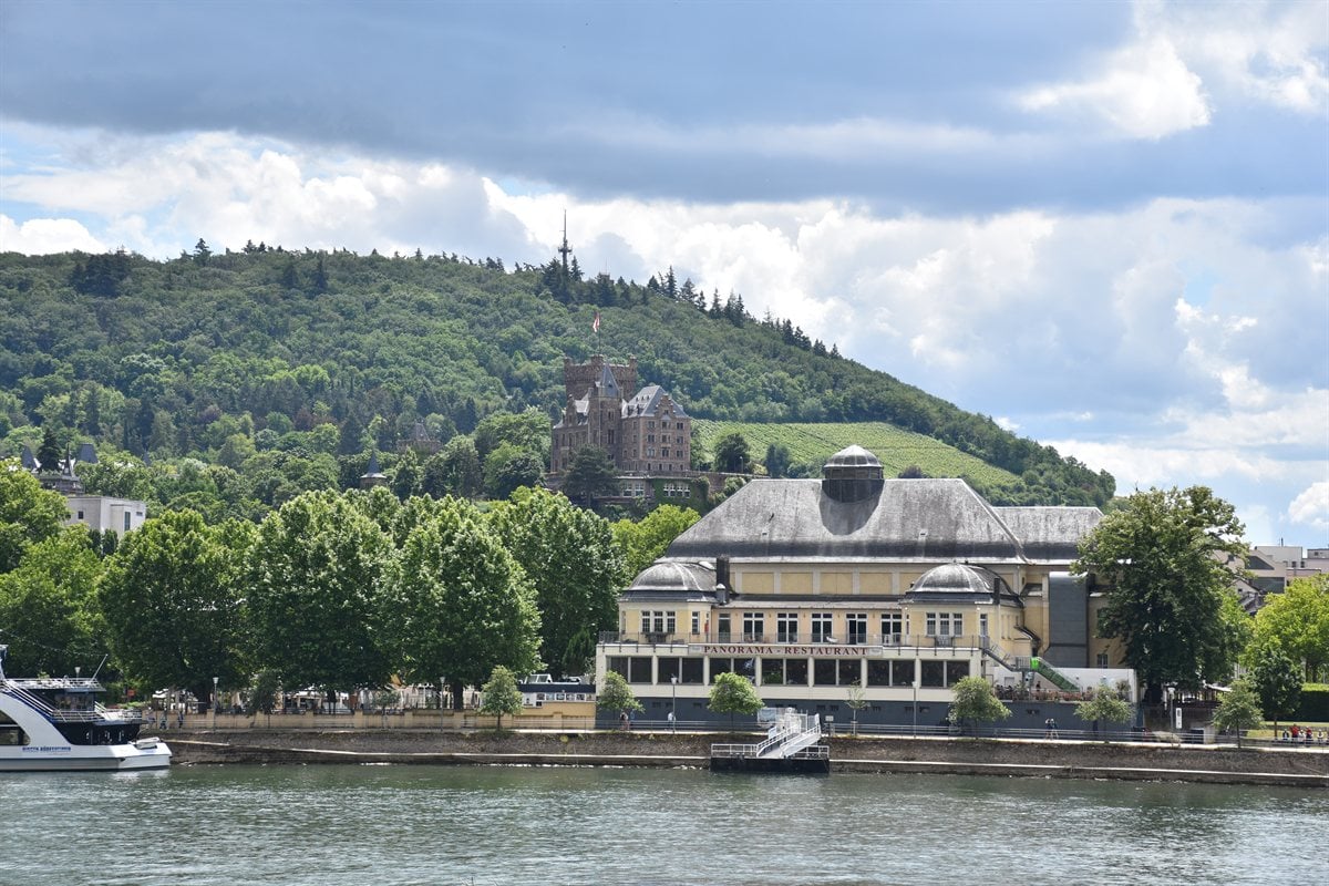 Rudesheim Winzerexpress train winding through hillside vineyards