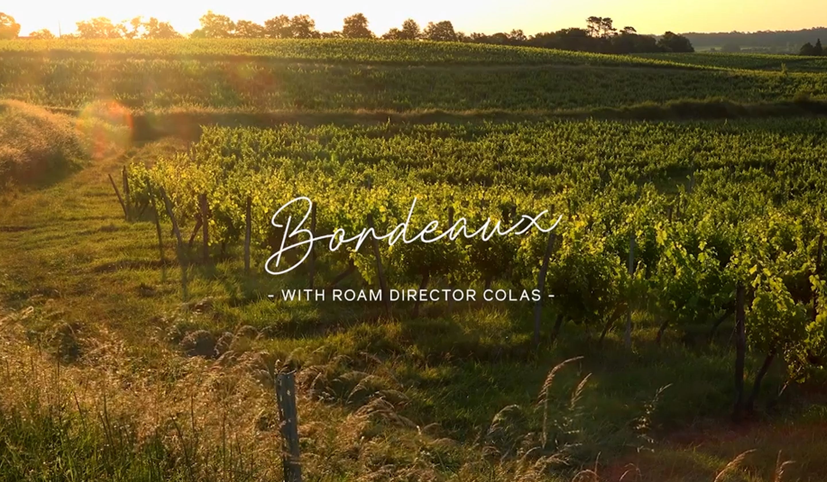 Bordeaux and Dordogne Roam Tour