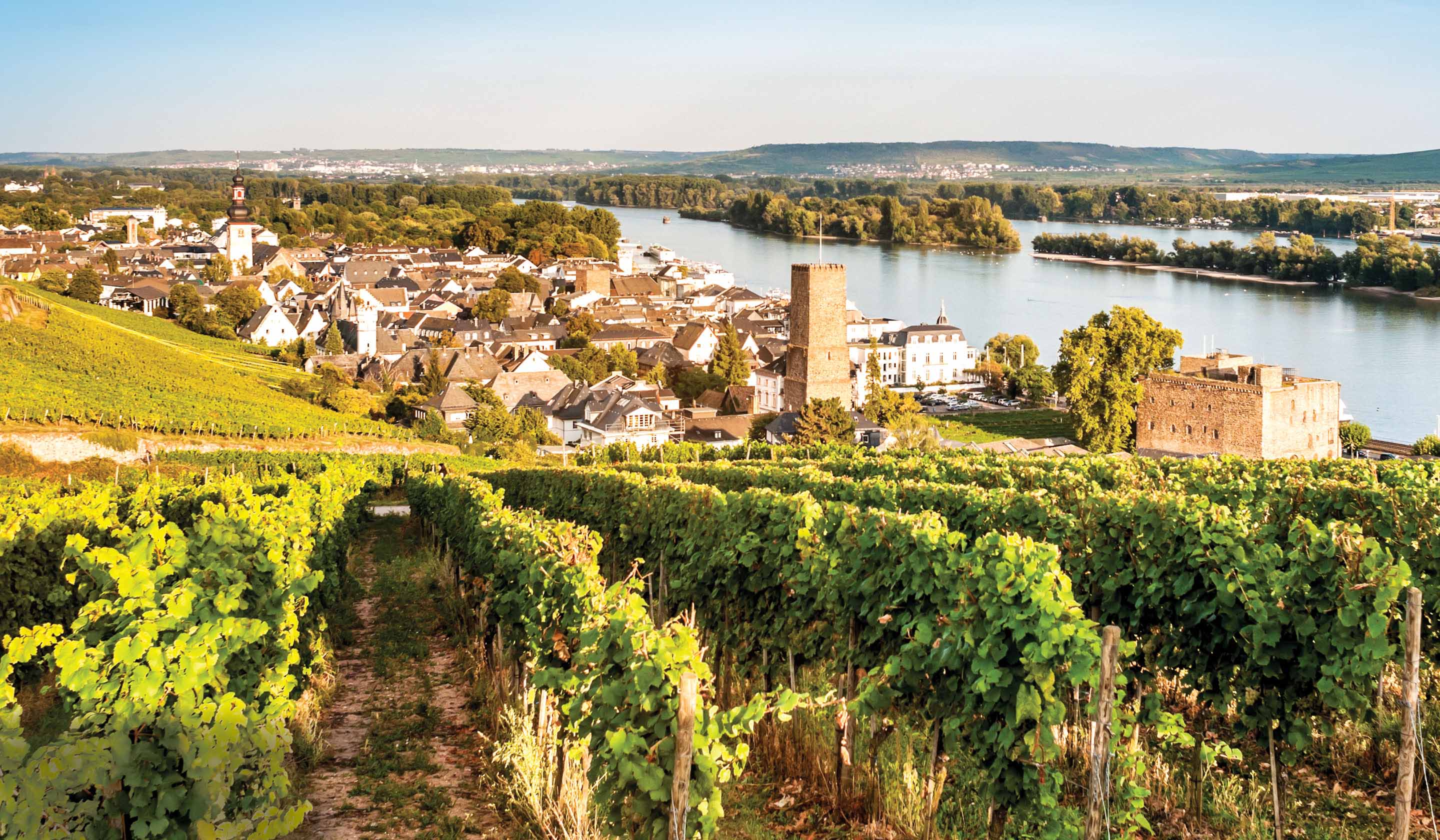 Tauck Rhine River Cruises