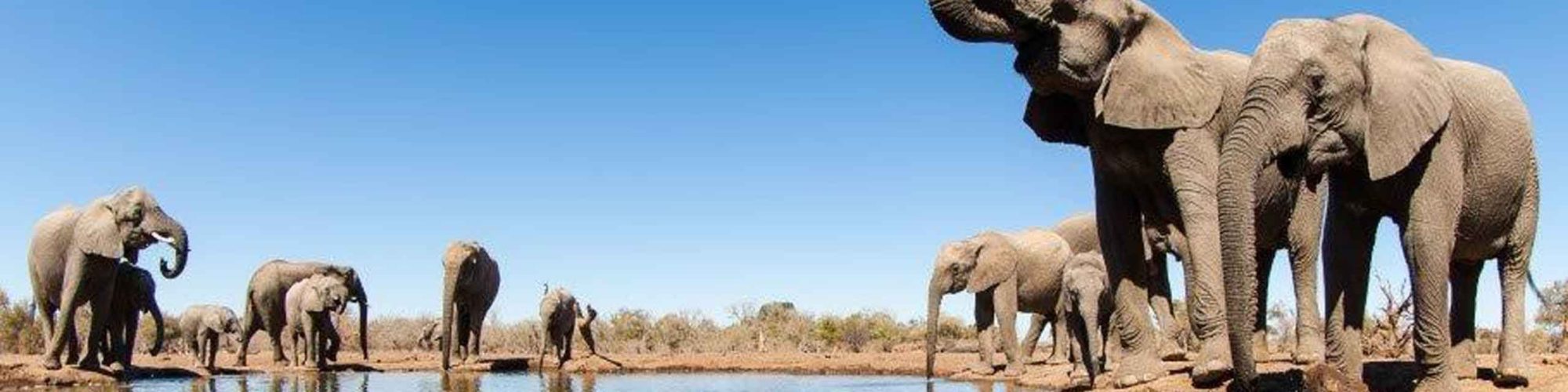 Botswana Travel travel agents packages deals