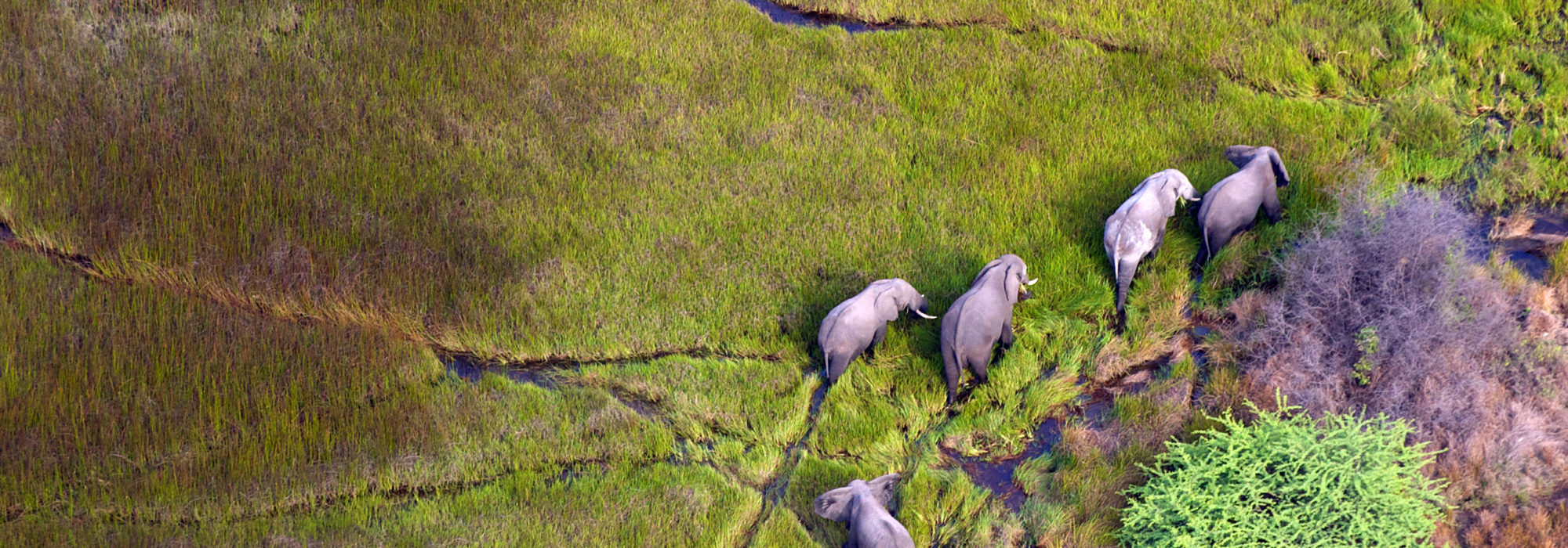  travel agents packages deals