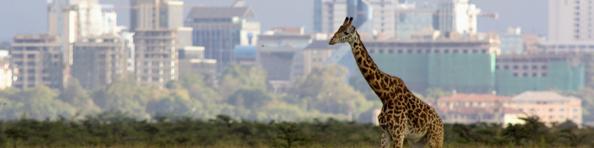 Nairobi travel agents packages deals