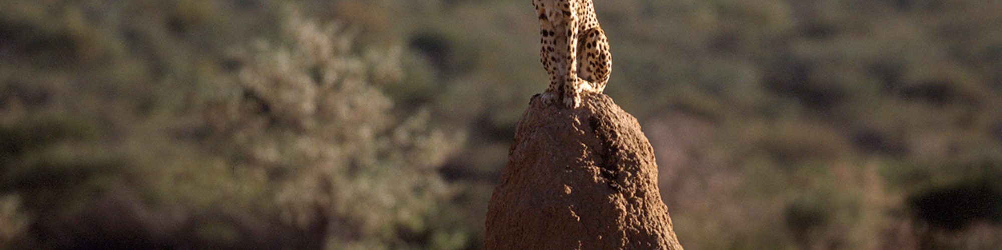 Namibia Travel travel agents packages deals