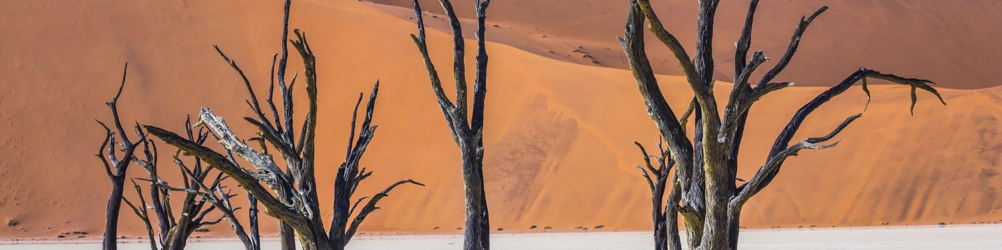 Namibia travel agents packages deals