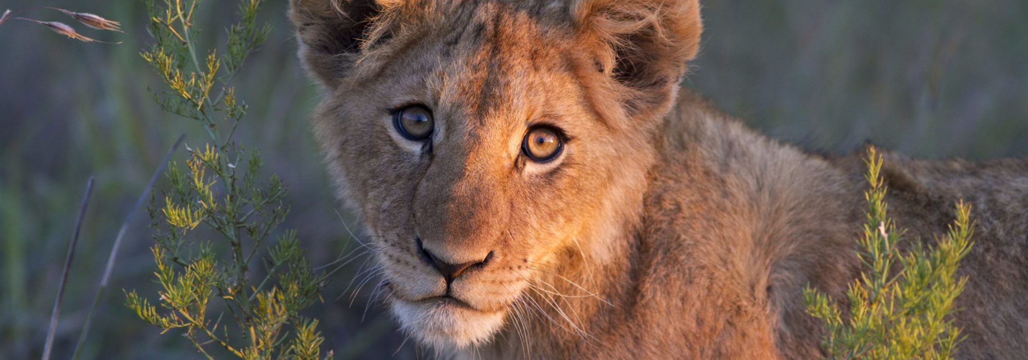 South Africa travel agents packages deals