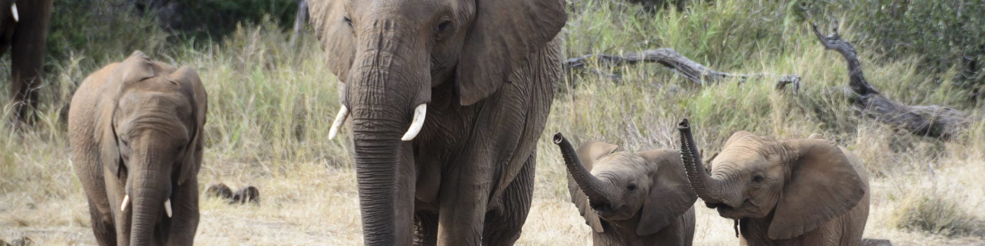 South Africa travel agents packages deals